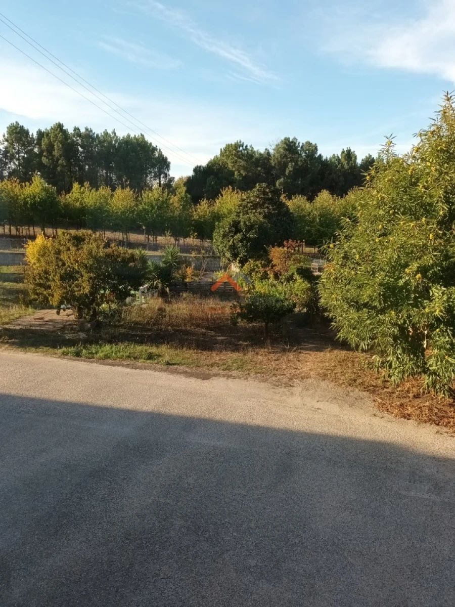 Apartamento T3 para Venda em Sangalhos Foto 29