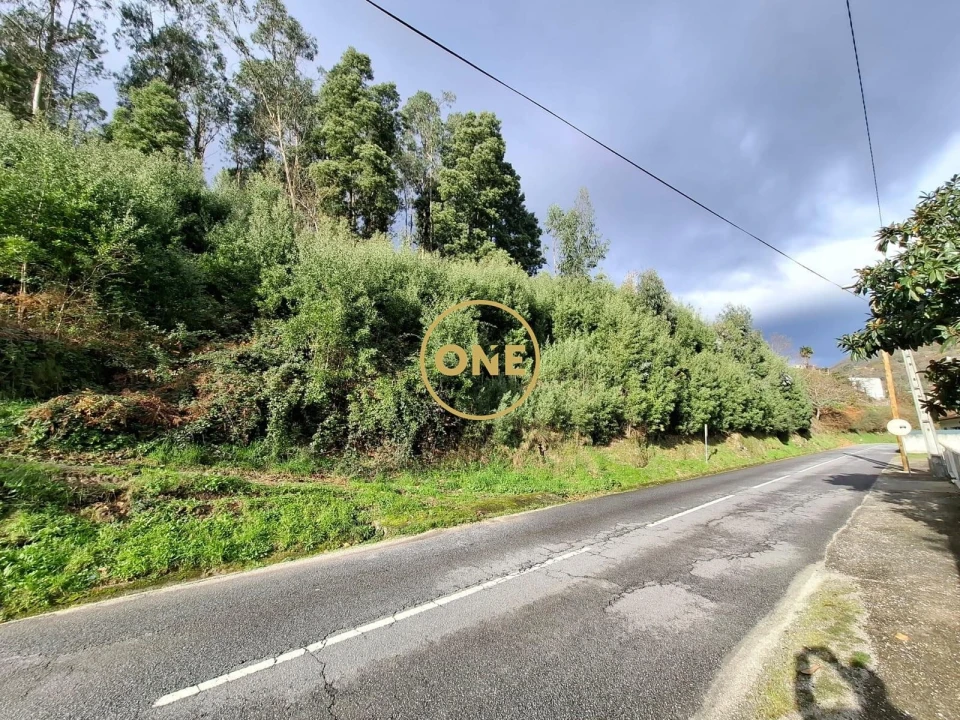 Terreno para Venda em Valdreu Foto 2