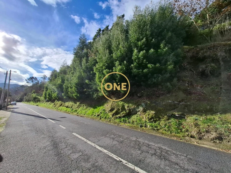 Terreno para Venda em Valdreu Foto 4