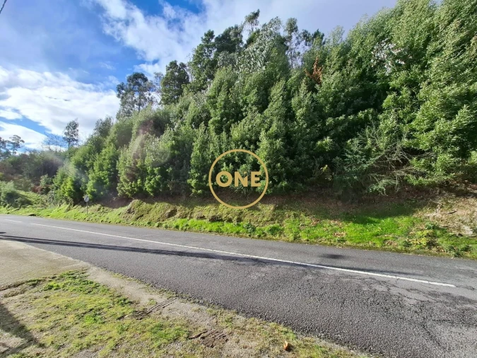 Terreno para Venda em Valdreu Foto 5