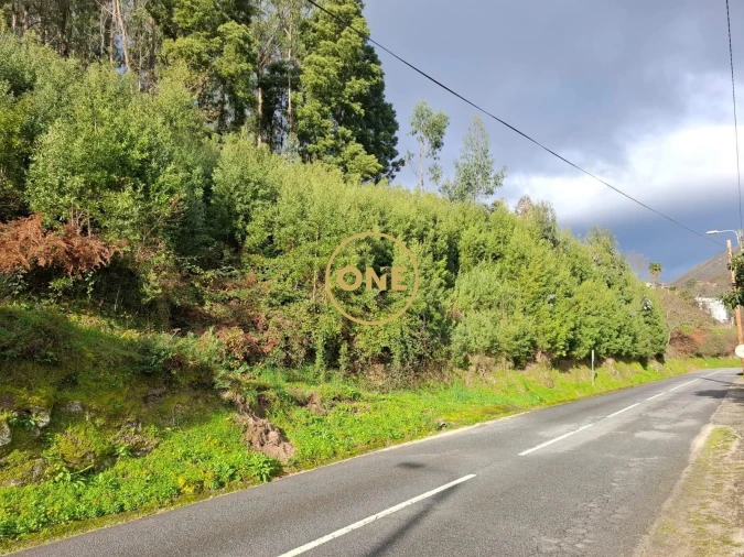 Terreno para Venda em Valdreu Foto 1