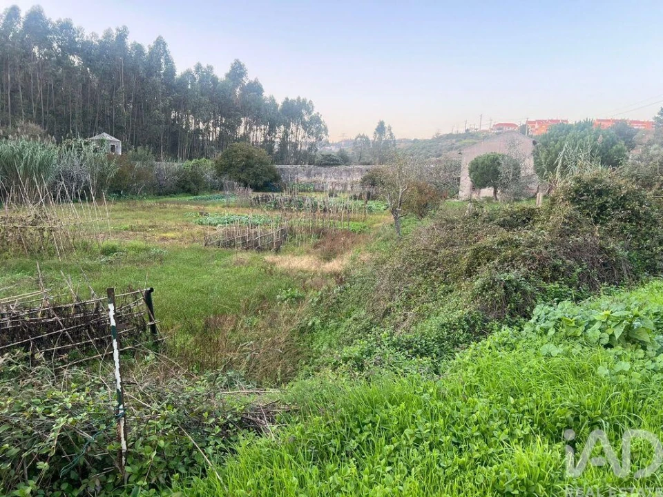 Terreno para Venda em Casal de Cambra Foto 23