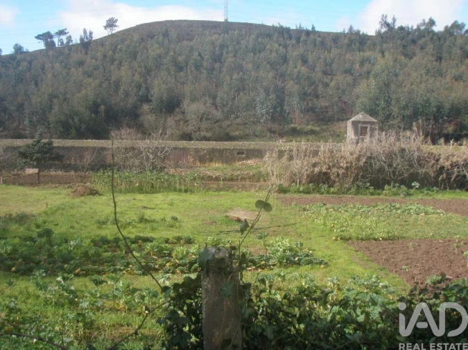 Terreno para Venda em Casal de Cambra Foto 24