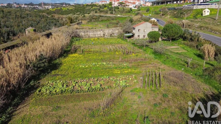 Terreno para Venda em Casal de Cambra Foto 3