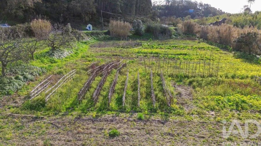 Terreno para Venda em Casal de Cambra Foto 10