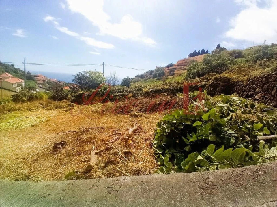 Terreno para Venda em Arco da Calheta Foto 5