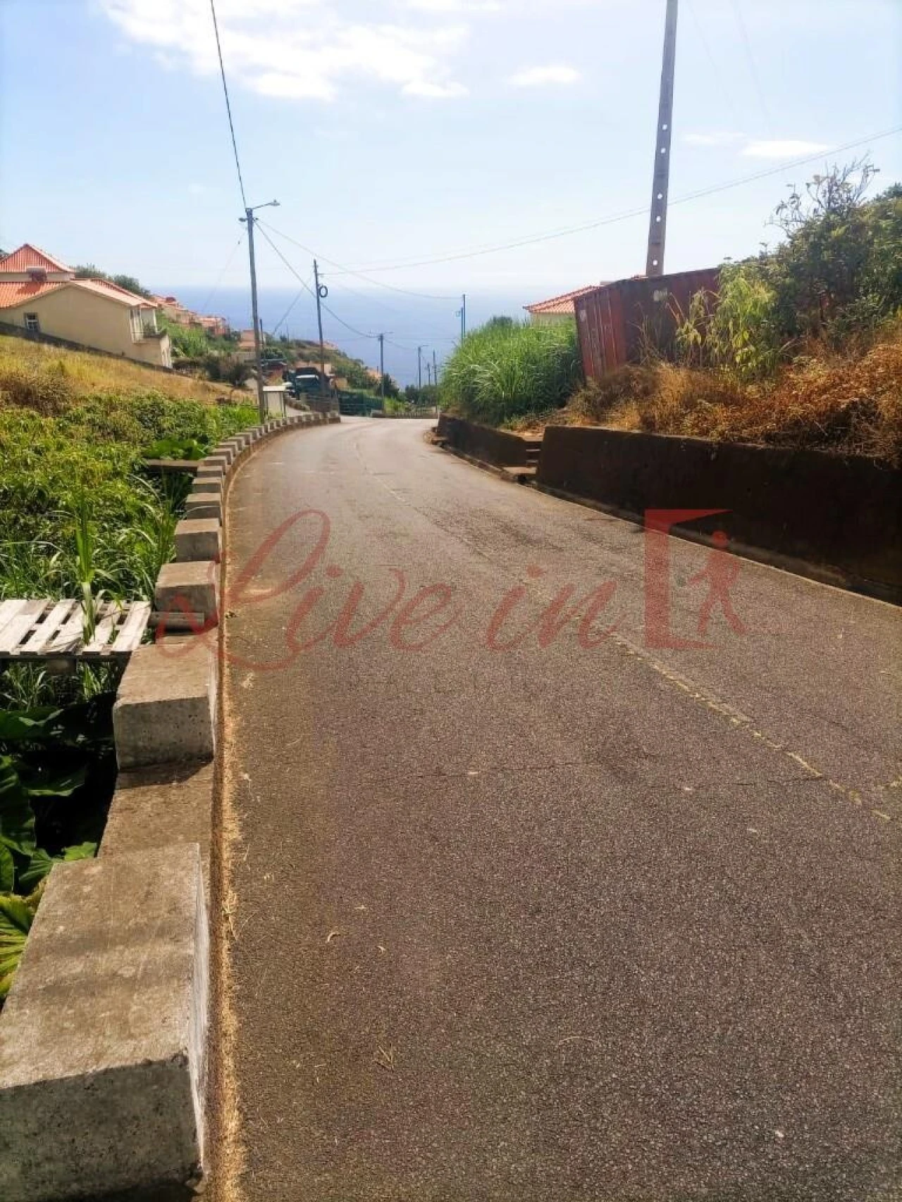 Terreno para Venda em Arco da Calheta Foto 8