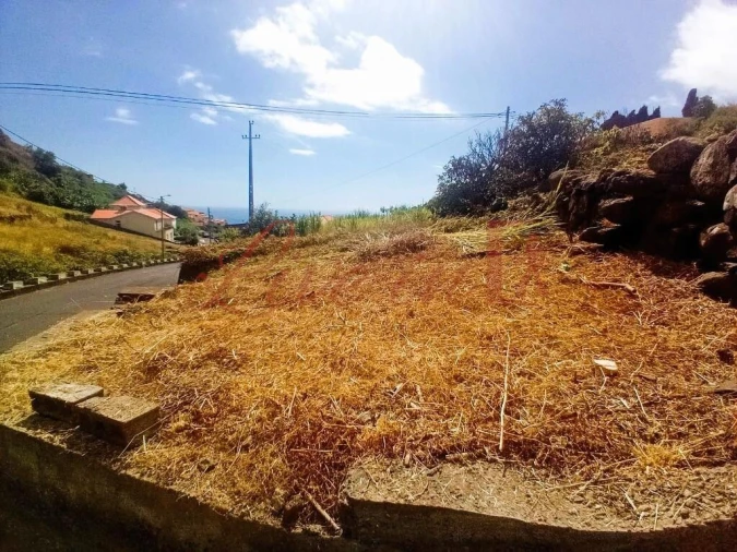 Terreno para Venda em Arco da Calheta Foto 7