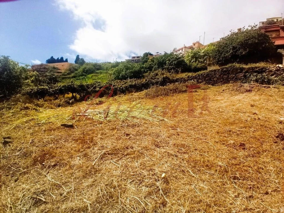 Terreno para Venda em Arco da Calheta Foto 6
