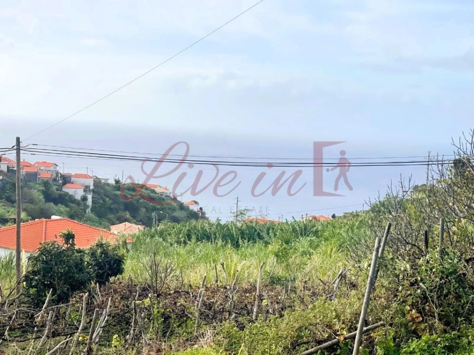 Terreno para Venda em Arco da Calheta Foto 1