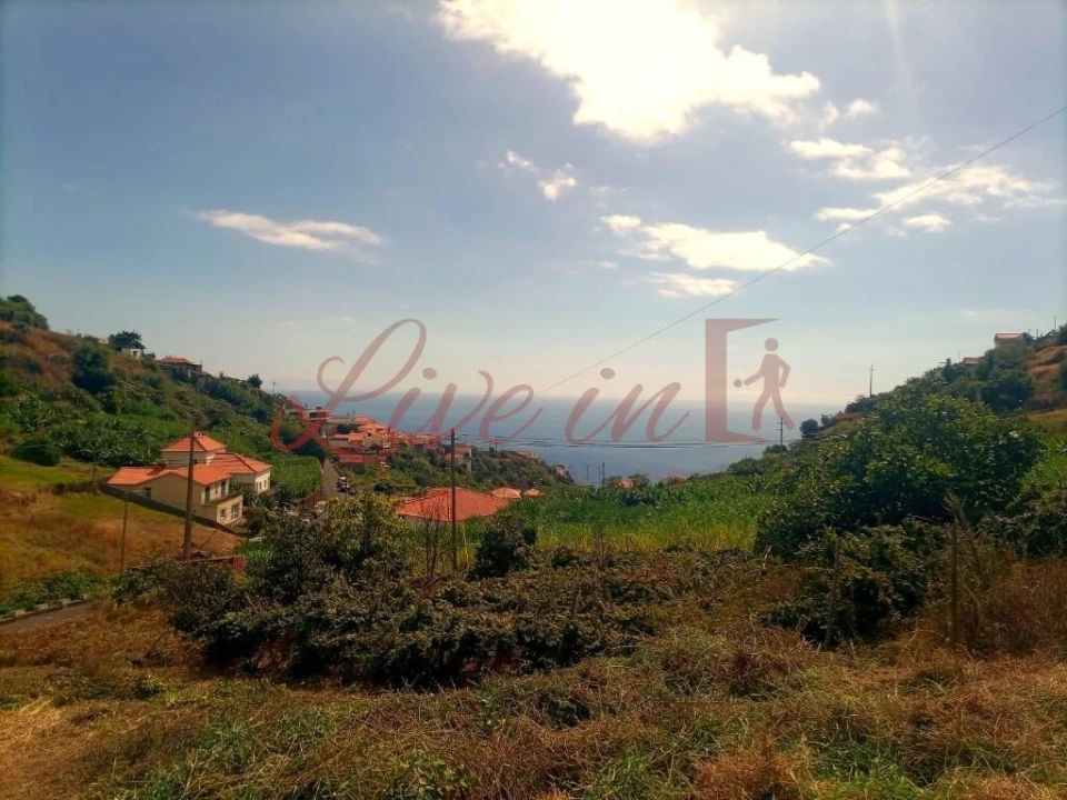 Terreno para Venda em Arco da Calheta Foto 3