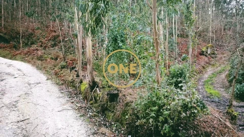 Terreno para Venda em Este (São Pedro e São Mamede)