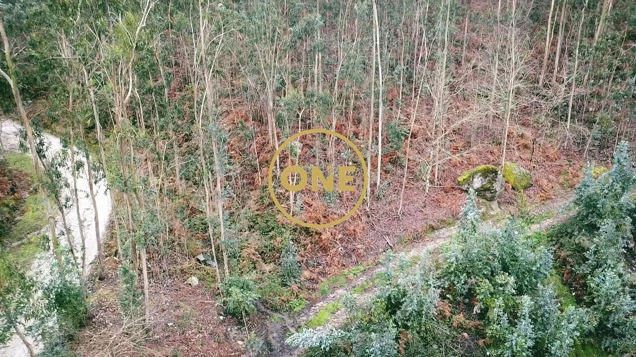 Terreno para Venda em Este (São Pedro e São Mamede) Foto 4