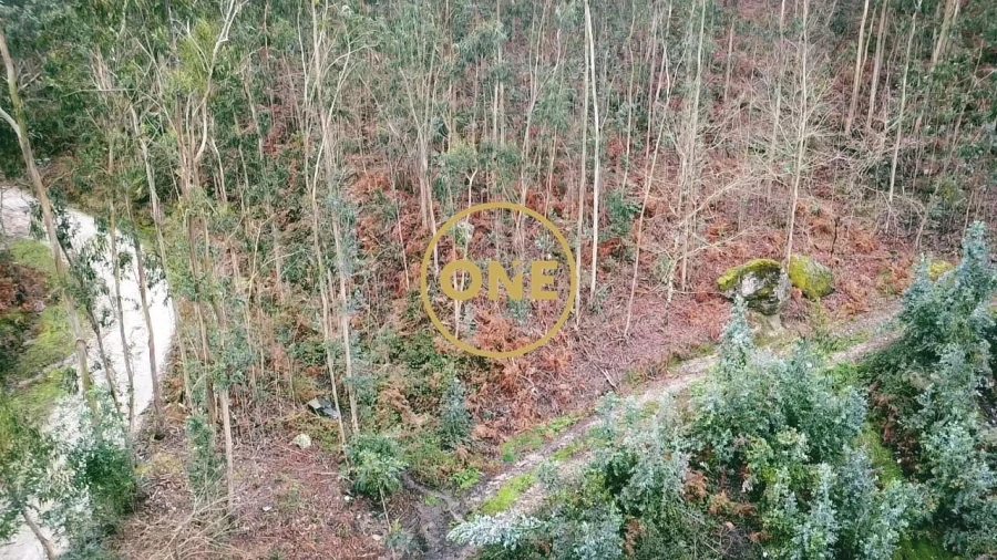Terreno para Venda em Este (São Pedro e São Mamede) Foto 4