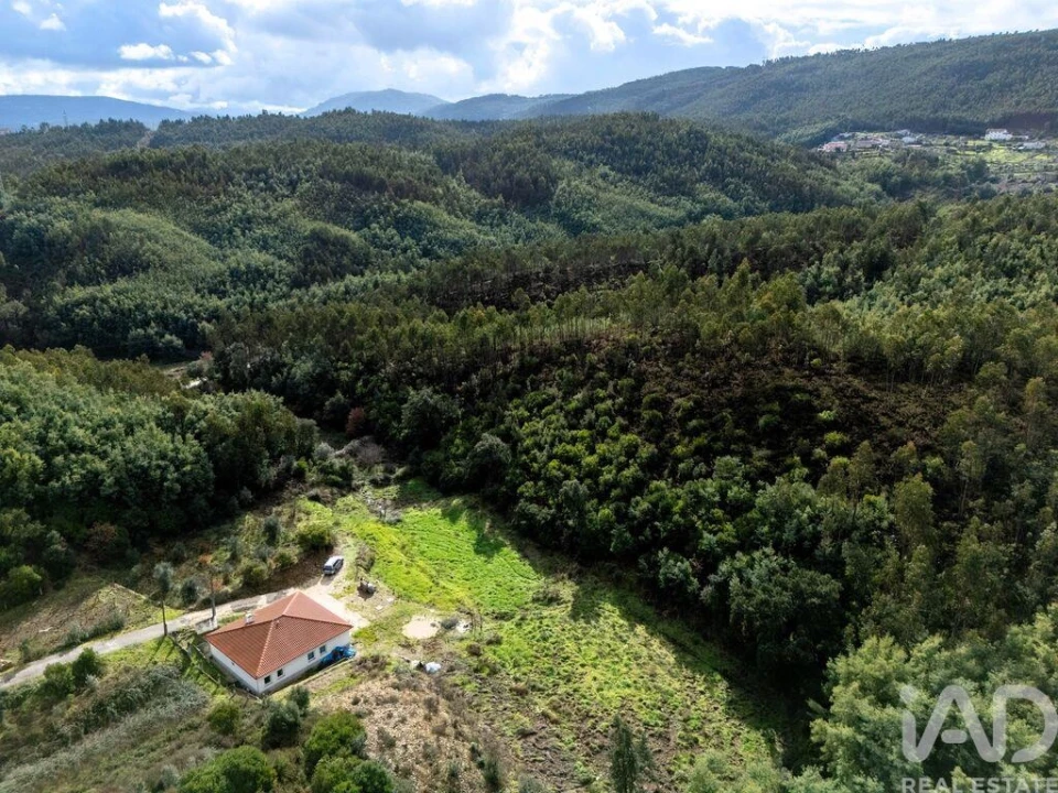 Moradia T2 para Venda em Friúmes e Paradela Foto 30
