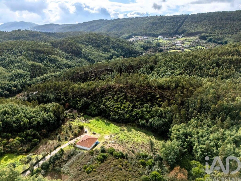Moradia T2 para Venda em Friúmes e Paradela Foto 5