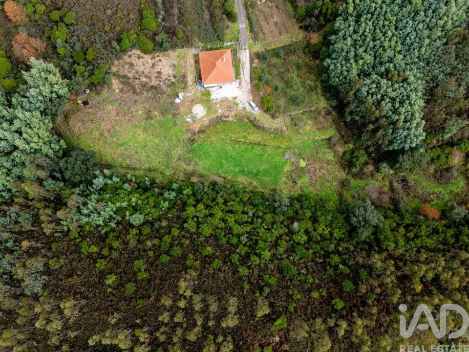 Moradia T2 para Venda em Friúmes e Paradela Foto 32