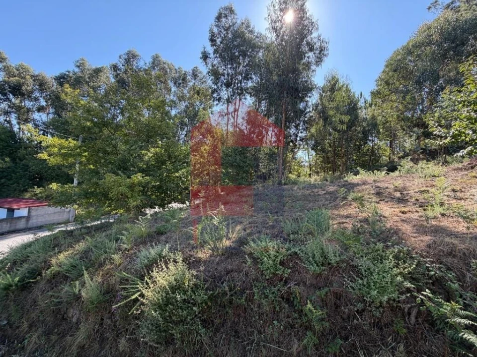 Terreno para Venda em Fiscal Foto 6