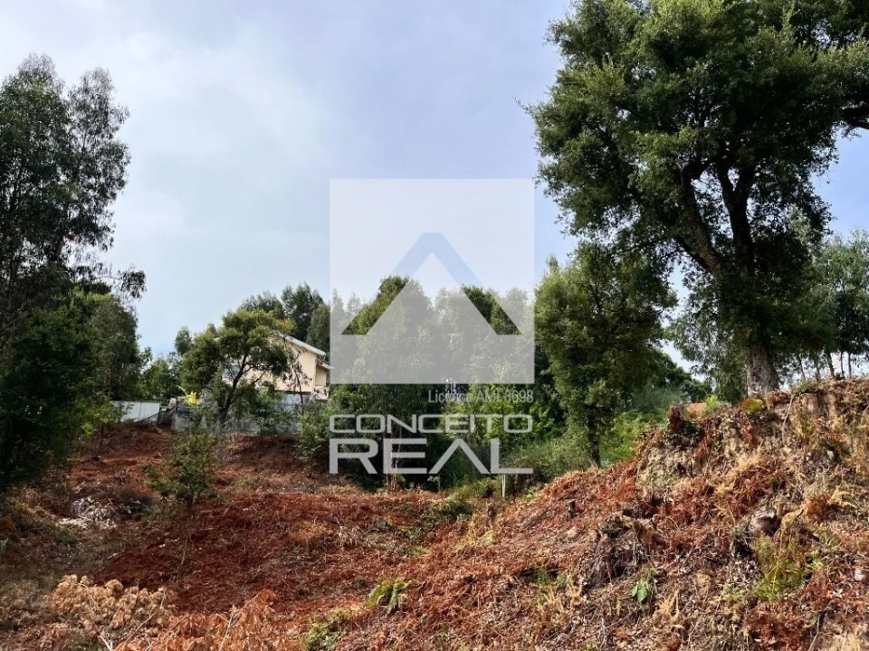 Terreno para Venda em Madalena Foto 3