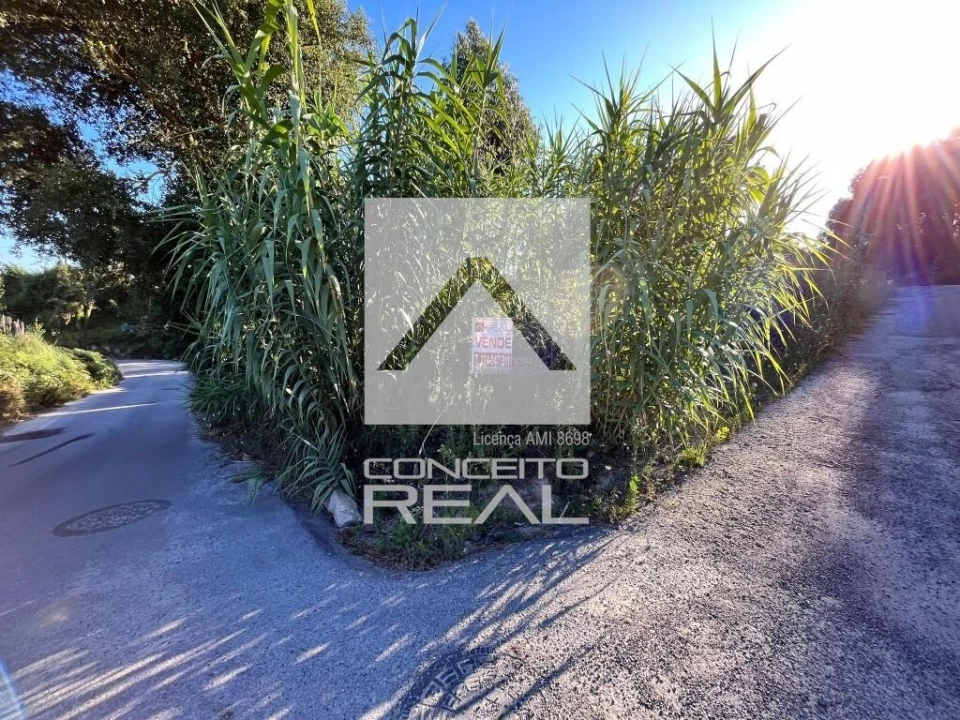 Terreno para Venda em Madalena Foto 5