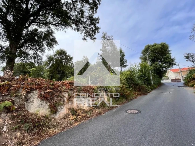 Terreno para Venda em Madalena Foto 6