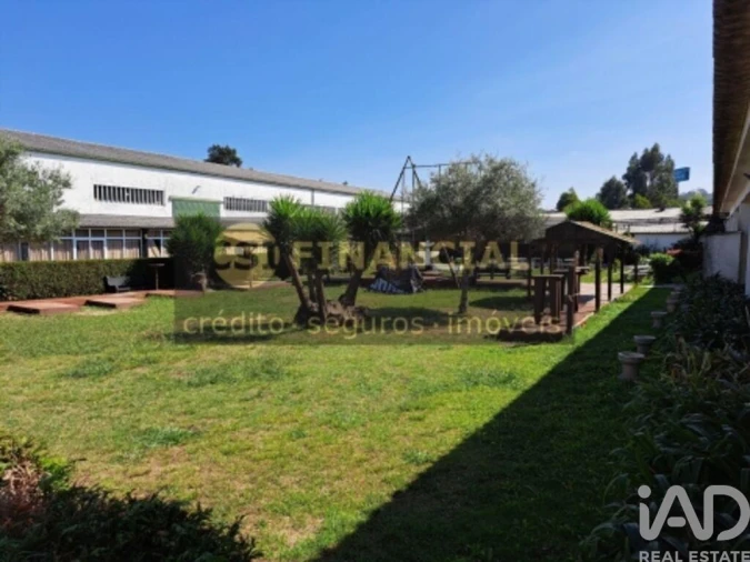 Quinta T10 para Venda em Santa Maria de Lamas Foto 7