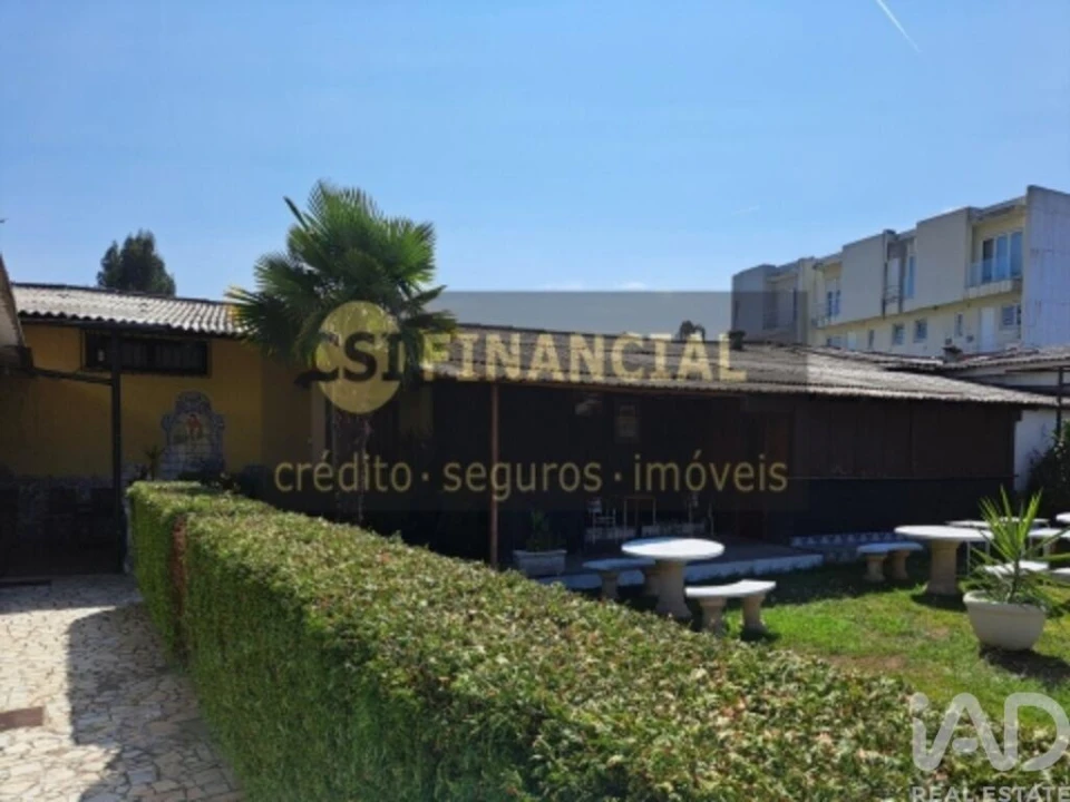 Quinta T10 para Venda em Santa Maria de Lamas Foto 11