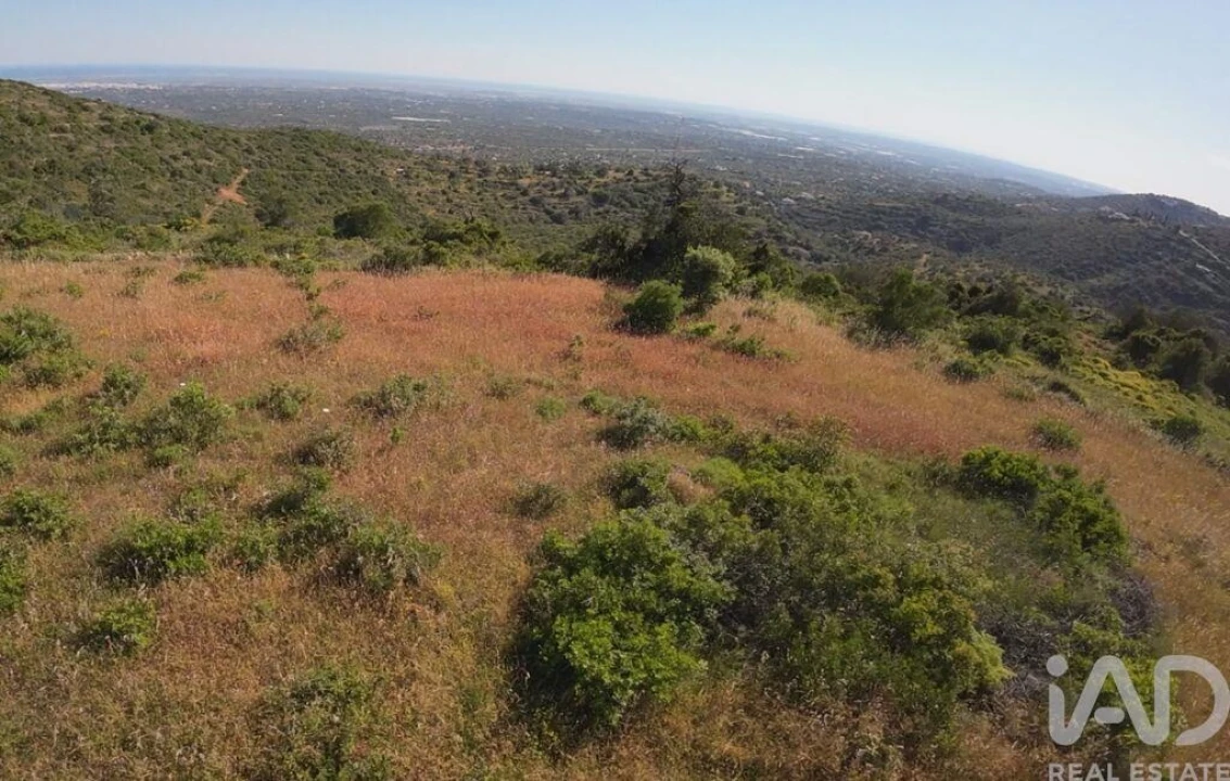Terreno para Venda em Conceição e Estoi Foto 7
