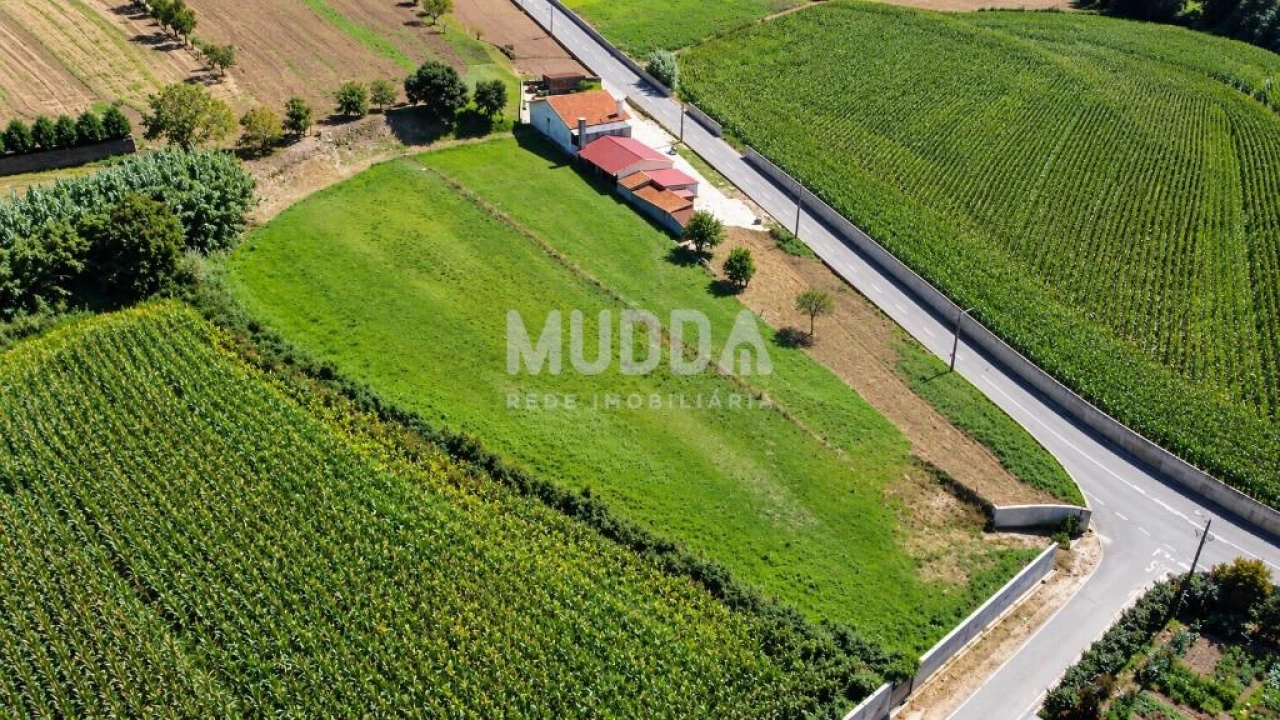 Terreno para Venda em Salreu Foto 3