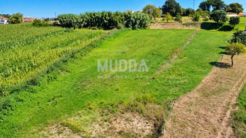 Terreno para Venda em Salreu