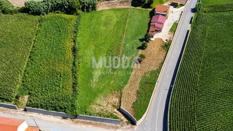 Terreno para Venda em Salreu