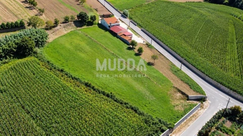 Terreno para Venda em Salreu