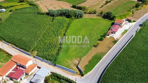 Terreno para Venda em Salreu