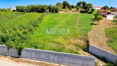 Terreno para Venda em Salreu
