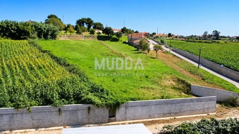 Terreno para Venda em Salreu