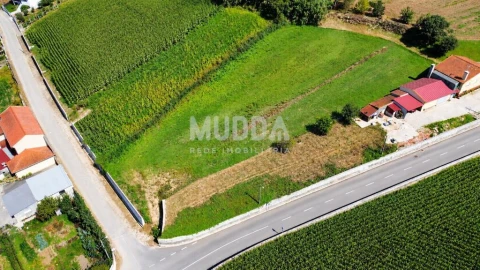 Terreno para Venda em Salreu