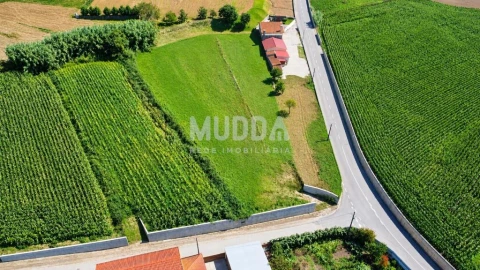 Terreno para Venda em Salreu