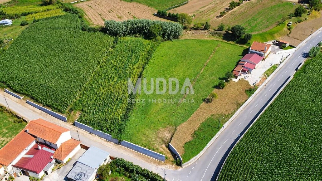 Terreno para Venda em Salreu Foto 4
