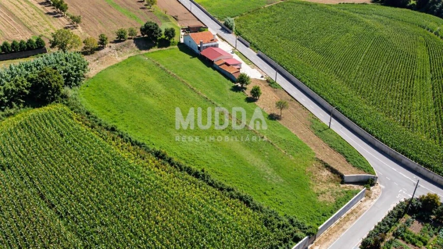 Terreno para Venda em Salreu Foto 3