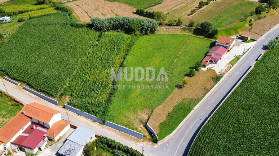 Terreno para Venda em Salreu Foto 4