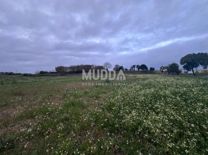 Terreno para Venda em Salreu Foto 1