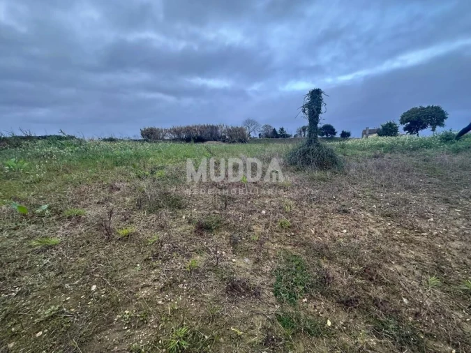 Terreno para Venda em Salreu Foto 2