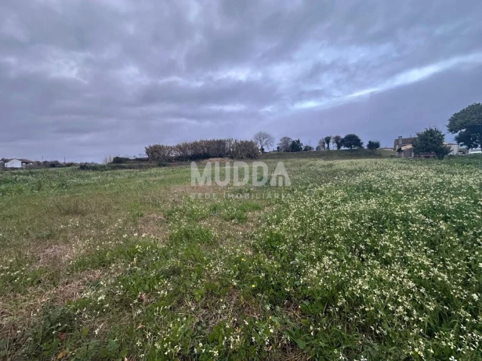 Terreno para Venda em Salreu Foto 4