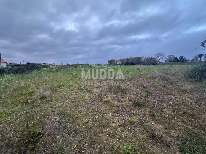 Terreno para Venda em Salreu Foto 3