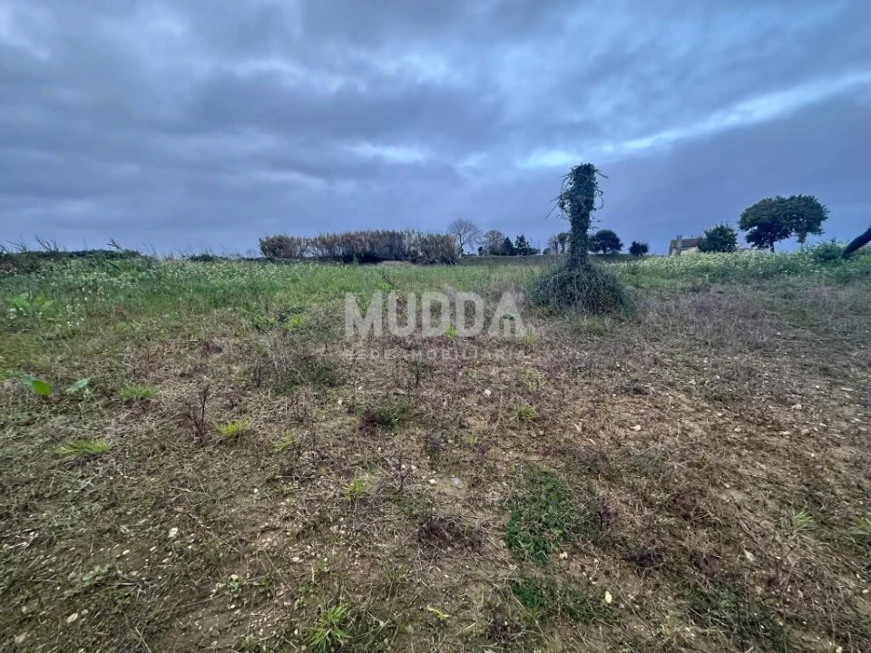 Terreno para Venda em Salreu Foto 2