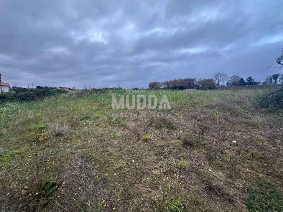 Terreno para Venda em Salreu Foto 3