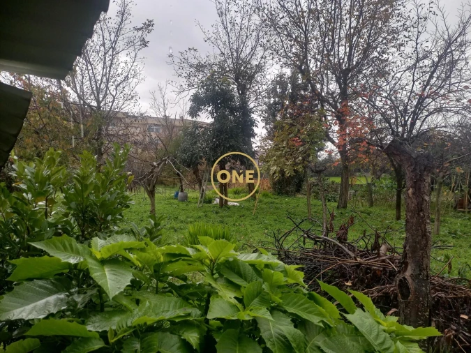 Terreno para Venda em Delães Foto 3