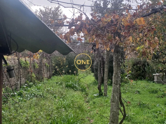 Terreno para Venda em Delães Foto 5