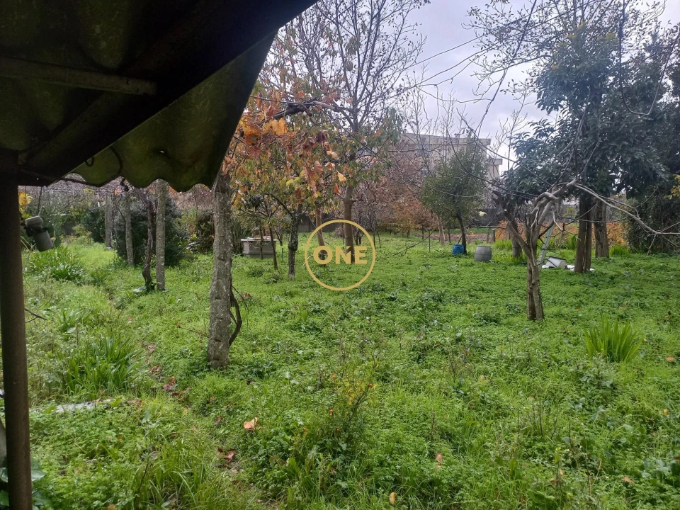 Terreno para Venda em Delães Foto 4