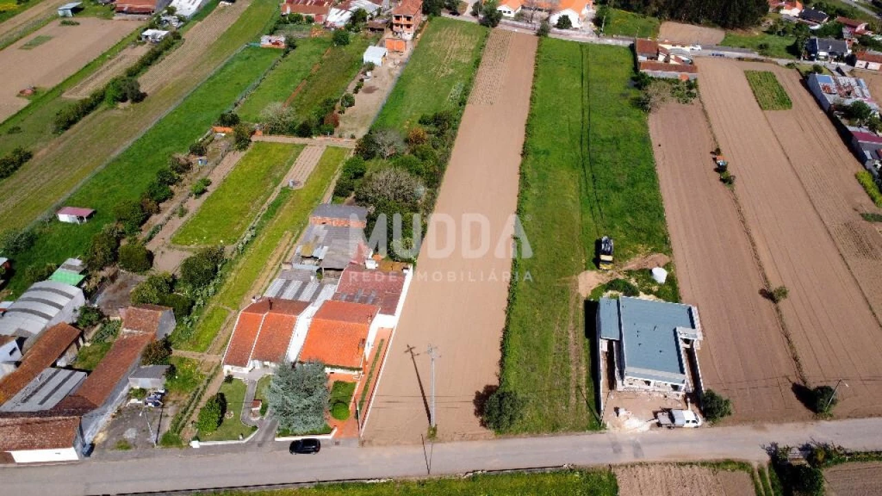 Terreno para Venda em Glória e Vera Cruz Foto 13